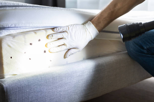 Best Pest Control Treatment  in Manheim, PA